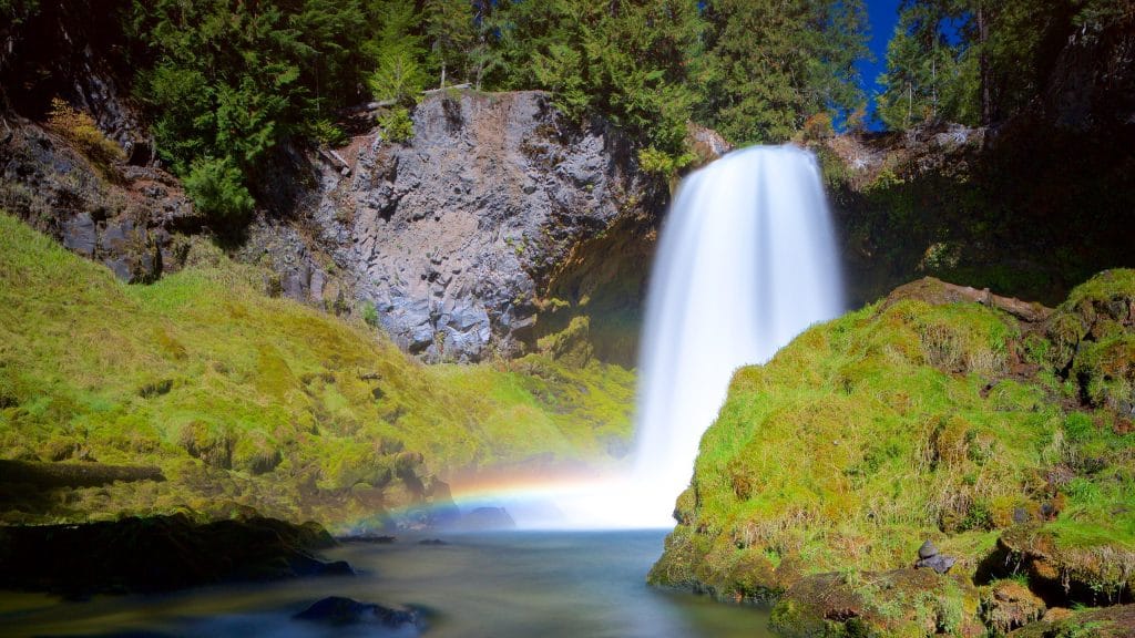 威拉米特国家森林的大瀑布