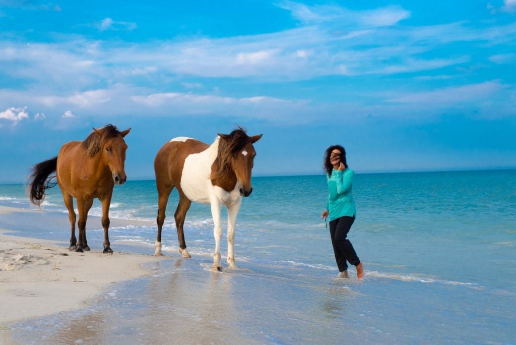 阿萨蒂格岛海滩上的小马