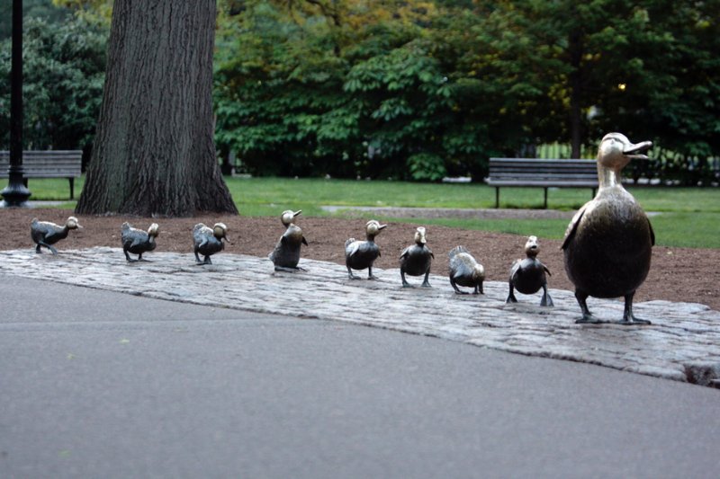 波士顿公共花园的鸭子雕塑