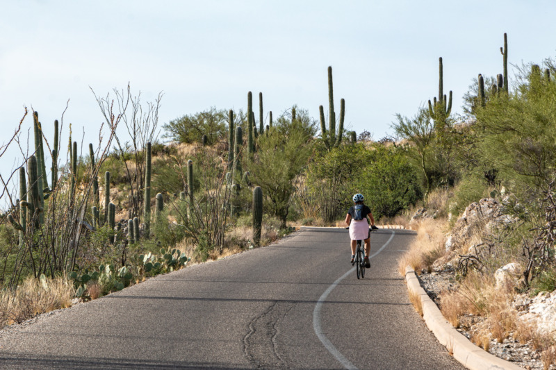 女人骑自行车在路上在仙人掌国家公园,这里图森